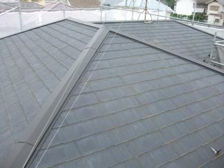 ¾®Ê¿»Ô¡¡TÍÍÅ¡