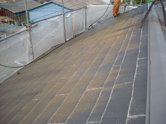 9/7��λ�����������졡������N��š